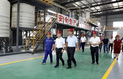 湖南永澤冶金與永晟?？萍夹聫S竣工投產，并深化教育咨詢服務，開啟產業與人才協同發展新篇章